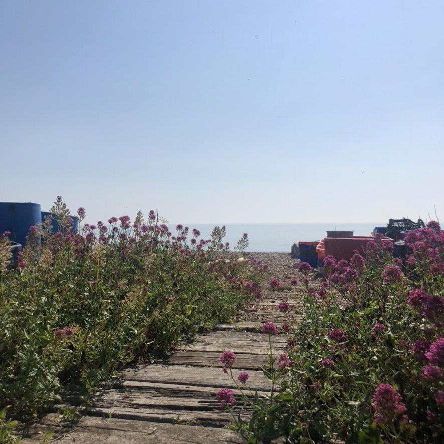 Heritage Cottage - Charming And Stylish Home With Lovely Garden Walmer Exteriör bild