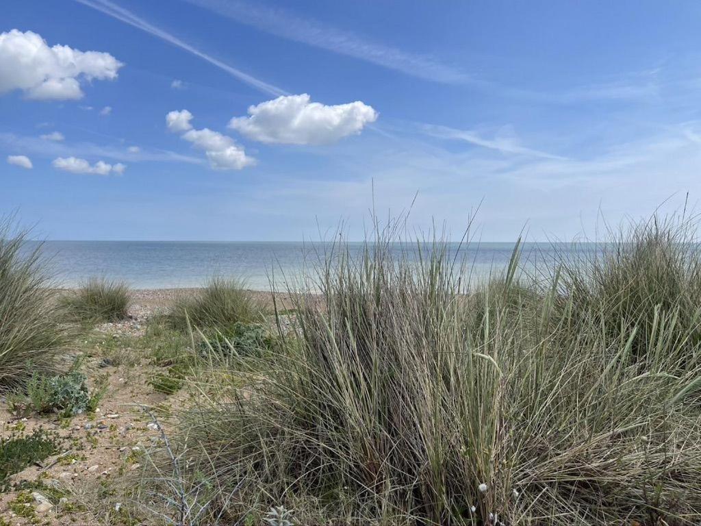 Heritage Cottage - Charming And Stylish Home With Lovely Garden Walmer Exteriör bild